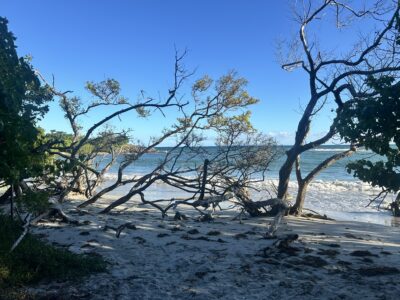 Guadeloupe – Karibian perhossaaren vastustamaton vetovoima