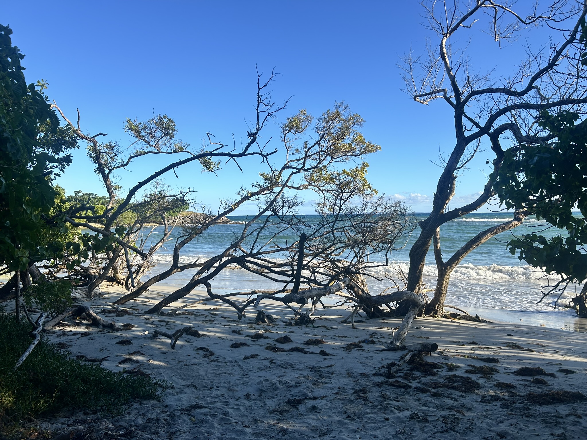 You are currently viewing Guadeloupe – Karibian perhossaaren vastustamaton vetovoima